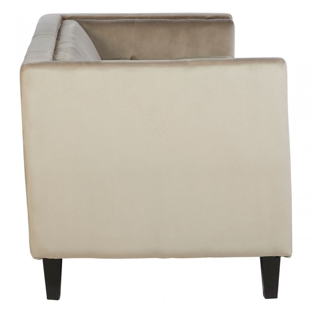 Flick 3 Seat Mink Velvet Sofa, Eucalyptus Wood, Wood, Cream