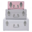 Set of 3 Assorted Colors Storage Trunks, Galvanised Iron