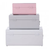 Set of 3 Assorted Colors Storage Trunks, Galvanised Iron