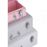 Set of 3 Assorted Colors Storage Trunks, Galvanised Iron