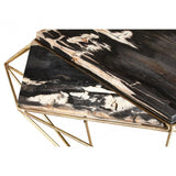 Artefacto Dark Petrified Wood Coffee Table, Iron, Petrified Wood, Brass