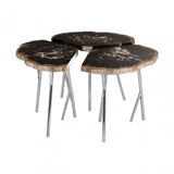 Artefacto Light Petrified Wood Coffee Table, Petrified Wood, Stainless Steel
