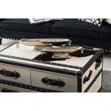 Black / White Genuine Cowhide Coffee Table, Cowhide, Stainless Steel, Black