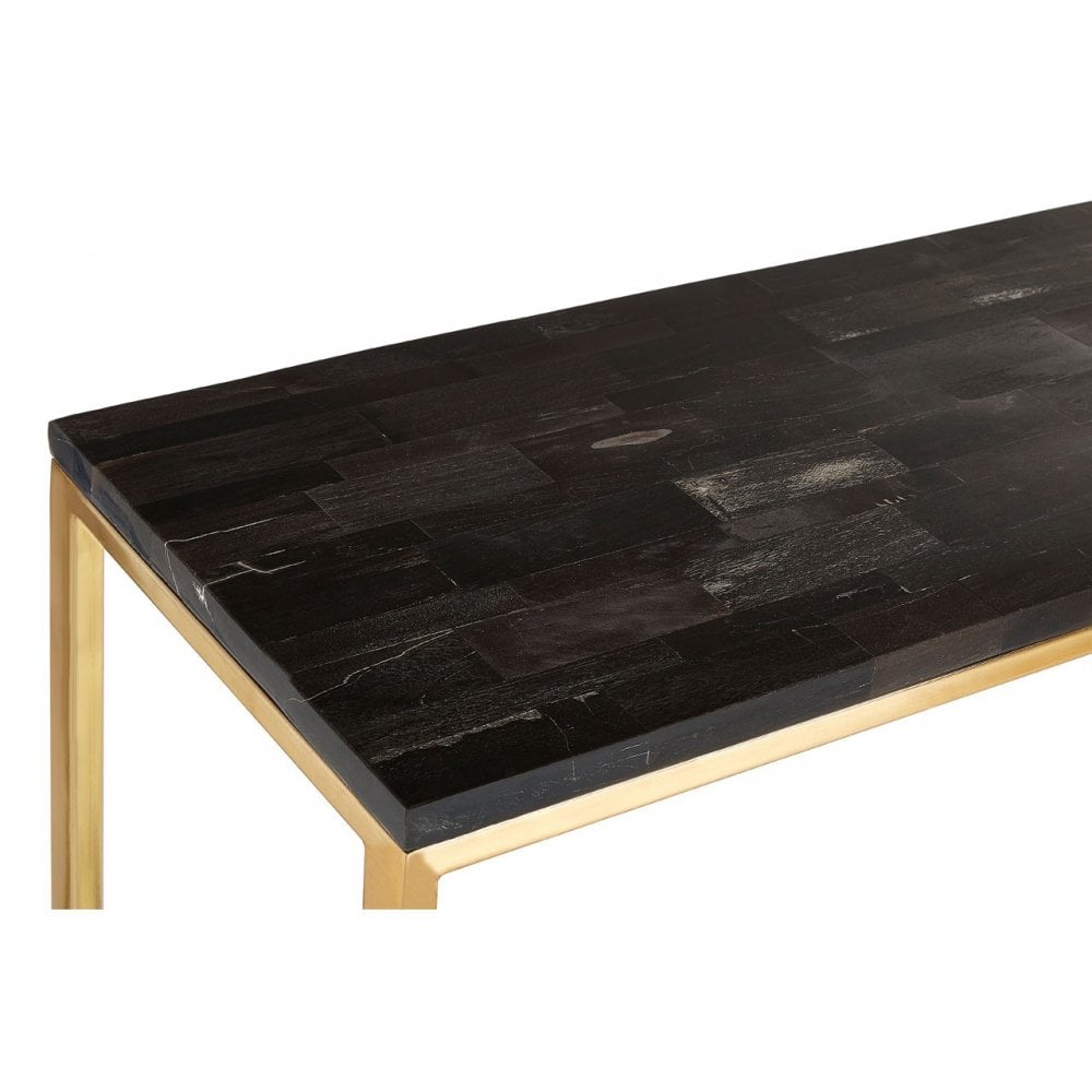 Artefacto Dark Petrified Wood Console Table, Iron, Petrified Wood, Black