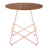 Brock Pink Metal & Elm Wood Round Table, Elm Wood, Pink