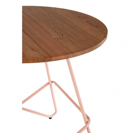 Brock Pink Metal & Elm Wood Round Table, Elm Wood, Pink