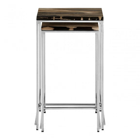Artefacto Nest of 2 Petrified Wood Side Tables, Petrified Wood, Stainless Steel, Silver