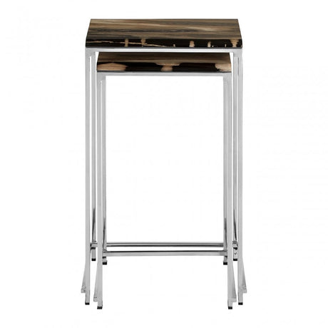 Artefacto Nest of 2 Petrified Wood Side Tables, Petrified Wood, Stainless Steel, Silver