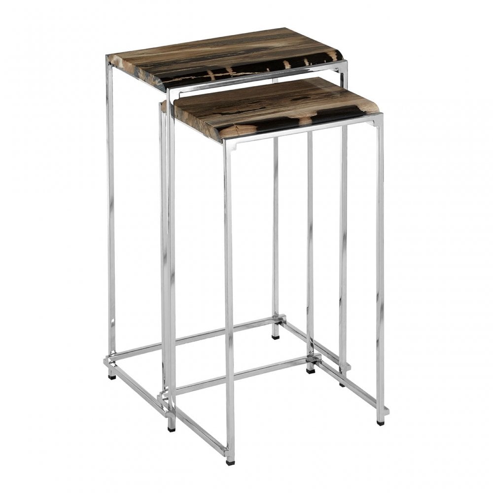 Artefacto Nest of 2 Petrified Wood Side Tables, Petrified Wood, Stainless Steel, Silver