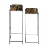 Artefacto Nest of 2 Petrified Wood Side Tables, Petrified Wood, Stainless Steel, Silver