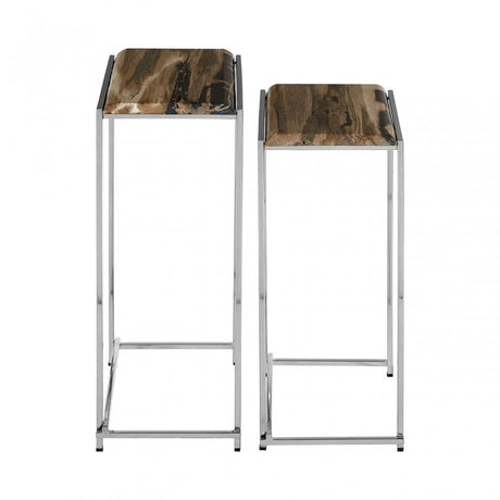 Artefacto Nest of 2 Petrified Wood Side Tables, Petrified Wood, Stainless Steel, Silver