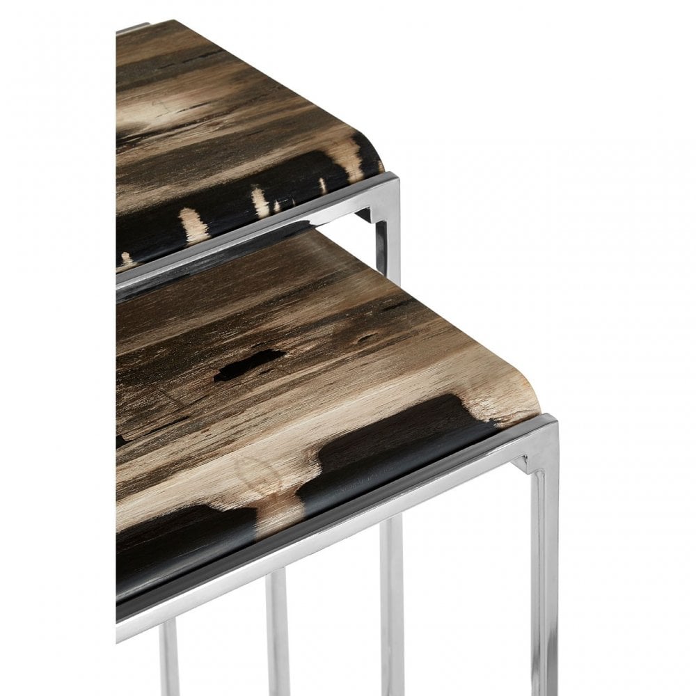 Artefacto Nest of 2 Petrified Wood Side Tables, Petrified Wood, Stainless Steel, Silver