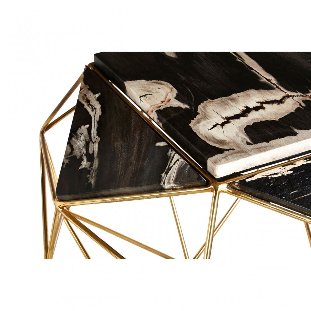 Artefacto Dark Petrified Wood Side Table, Iron, Petrified Wood, Brass