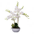White Orchid Plant with White Ceramic Pot, Ceramic, Fabric, Foam, White