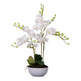 White Orchid Plant with White Ceramic Pot, Ceramic, Fabric, Foam, White