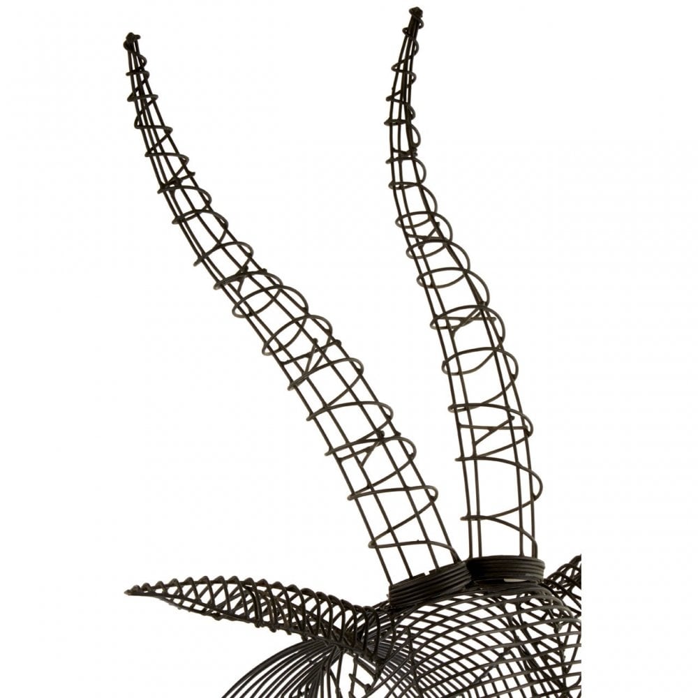 Zania Antelope Head, Black