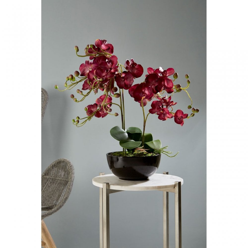 Purple Orchid Plant with Black Ceramic Pot, Ceramic, Fabric, Foam, Purple