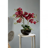 Purple Orchid Plant with Black Ceramic Pot, Ceramic, Fabric, Foam, Purple