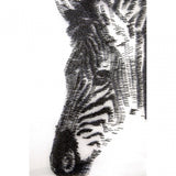 Modello Zebra Sculpture Wall Art, Pine Wood, White