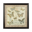 Framed Butterfly 1 Wall Art, Glass, Polyresin, Multi-Coloured