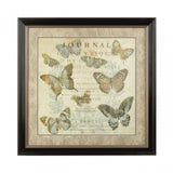Framed Butterfly 1 Wall Art, Glass, Polyresin, Multi-Coloured
