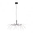 Ceiling Light, Purple