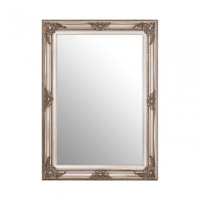 Bourbin Rectangular Grey Wall Mirror, Mirrored Glass, Wood, Grey