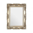 Ornate Metallic Foliage Wall Mirror, Mirrored Glass, Gold