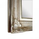 Ornate Acanthus Leaf Wall Mirror, Mirrored Glass
