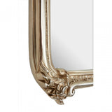 Ornate Wall Mirror, Mirrored Glass, Gold