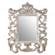 Antique Grey Fleur-De-Lis Wall Mirror, Mirrored Glass, Grey