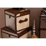 Brown / White Genuine Cowhide Storage Trunk Set, Cowhide, Stainless Steel, Brown