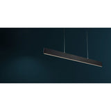 Modern Black Ceiling Pendant Light with Adjustable Height and Rectangular Canopy