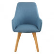 Jersey Blue Leisure Chair Blue