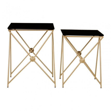 Monroe Gold Finish Side Tables Black