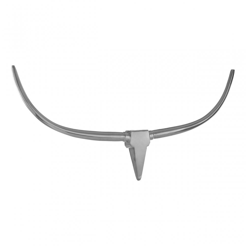 Minimal Wall Mounted Skull Silver