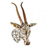 Zania antelope head Natural