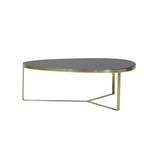 Elegant Glass and Brass Coffee Table - 118x89x40 cm