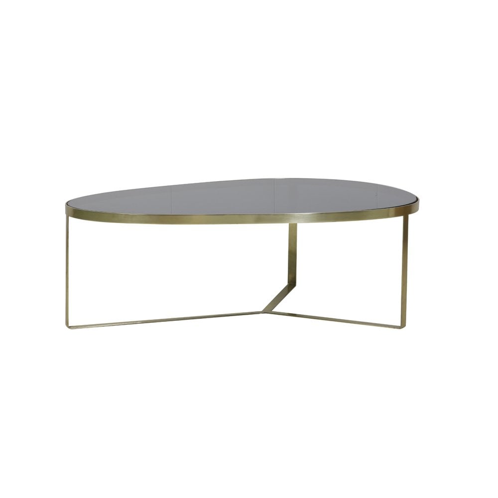 Elegant Glass and Brass Coffee Table - 118x89x40 cm