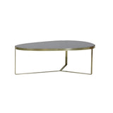Elegant Glass and Brass Coffee Table - 118x89x40 cm