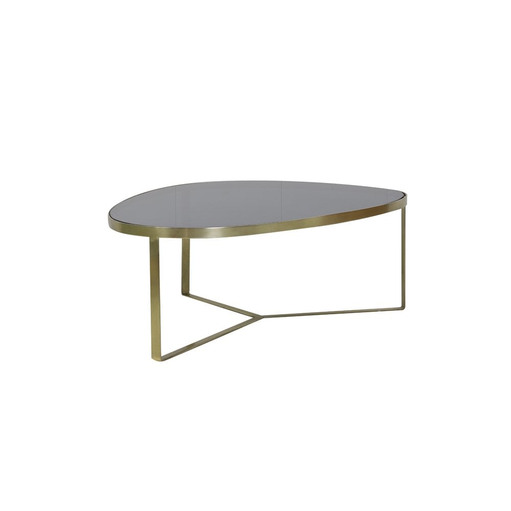 Elegant Glass and Brass Coffee Table - 118x89x40 cm