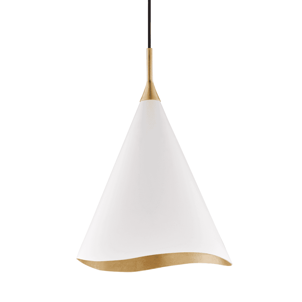Elegant Curve Pendant Light