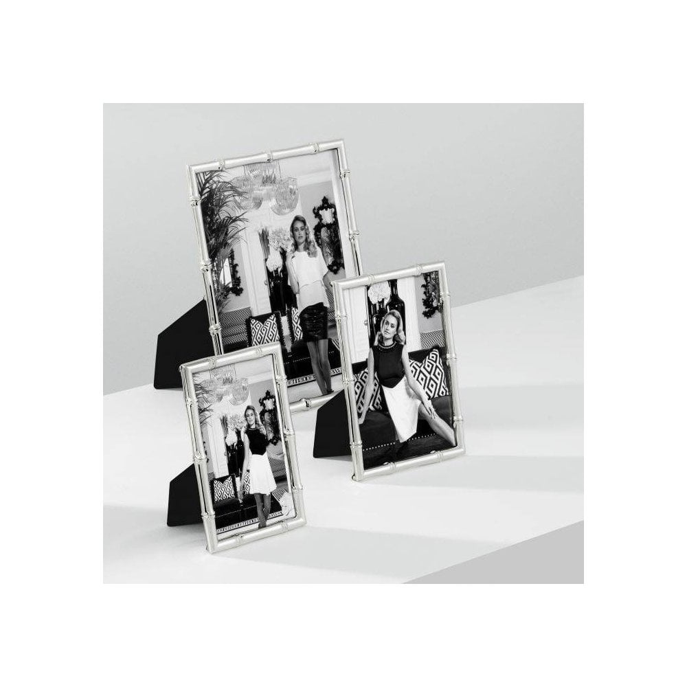 Holden L Silver-Plated Bamboo-Inspired Picture Frame with Clear Glass