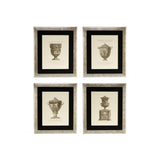 Giovanni Battista Antique Urn Prints Quartet, Silver Frame with Clear Glass