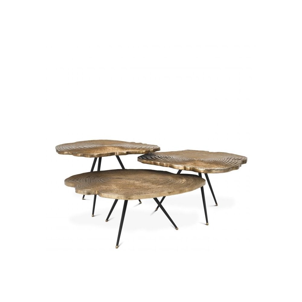 Quercus Trio Coffee Tables Set with Brass-Toned Wood Tops and Black Legs
