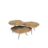 Quercus Trio Coffee Tables Set with Brass-Toned Wood Tops and Black Legs