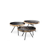 De Soto Trio Coffee Tables: Dark Petrified Wood with Black Bronze-Legged Elegance