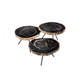 De Soto Trio Coffee Tables: Dark Petrified Wood with Black Bronze-Legged Elegance