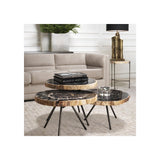 De Soto Trio Coffee Tables: Dark Petrified Wood with Black Bronze-Legged Elegance