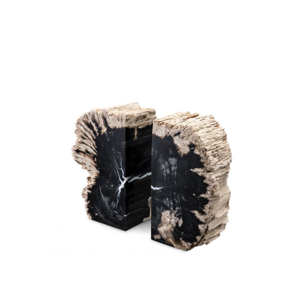 Enchanted Opia: Fossilized Petrified Wood Bookends